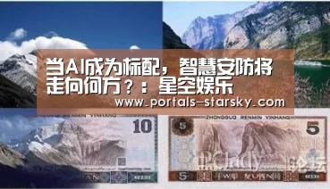 当AI成为标配,智慧安防将走向何方?:星空娱乐(图4) 星空娱乐