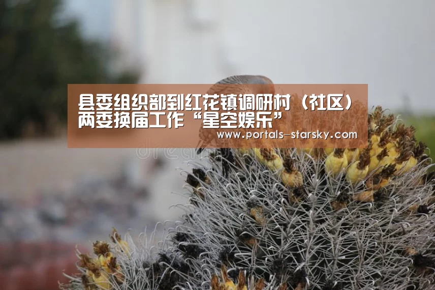 县委组织部到红花镇调研村(社区)两委换届工作“星空娱乐”(图3) 星空娱乐